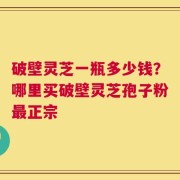破壁灵芝一瓶多少钱？哪里买破壁灵芝孢子粉最正宗