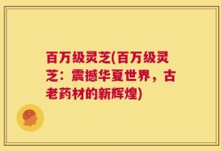 百万级灵芝(百万级灵芝：震撼华夏世界，古老药材的新辉煌)