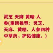 灵芝 天麻 黄精 人参(重磅推荐：灵芝、天麻、黄精、人参四种中草药，护佑健康。)