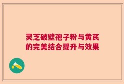 灵芝破壁孢子粉与黄芪的完美结合提升与效果