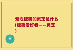 爱吃板栗的灵芝是什么(板栗爱好者——灵芝)