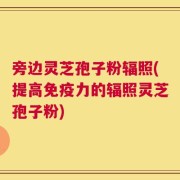 旁边灵芝孢子粉辐照(提高免疫力的辐照灵芝孢子粉)