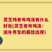 灵芝炖老母鸡汤有什么好处(灵芝老母鸡汤：滋补养生的最佳选择)