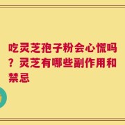 吃灵芝孢子粉会心慌吗？灵芝有哪些副作用和禁忌