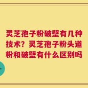 灵芝孢子粉破壁有几种技术？灵芝孢子粉头道粉和破壁有什么区别吗