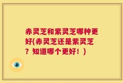 赤灵芝和紫灵芝哪种更好(赤灵芝还是紫灵芝？知道哪个更好！)