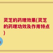 灵芝的药理效果(灵芝的药理功效及作用特点)