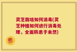灵芝栽培如何消毒(灵芝种植如何进行消毒处理，全面防患于未然)