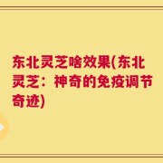 东北灵芝啥效果(东北灵芝：神奇的免疫调节奇迹)