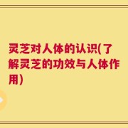 灵芝对人体的认识(了解灵芝的功效与人体作用)