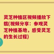 灵芝种植区视频播放下载(视频分享：参观灵芝种植基地，感受灵芝的生长过程)