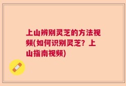 上山辨别灵芝的方法视频(如何识别灵芝？上山指南视频)