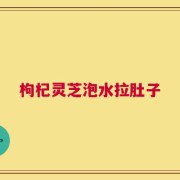 枸杞灵芝泡水拉肚子