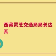 西藏灵芝交通局局长达瓦