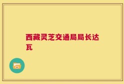 西藏灵芝交通局局长达瓦