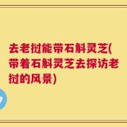去老挝能带石斛灵芝(带着石斛灵芝去探访老挝的风景)