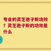 专业的灵芝孢子粉功效？灵芝孢子粉的功效是什么