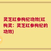 灵芝红参枸杞功效(红枸灵：灵芝红参枸杞的功效)
