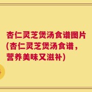 杏仁灵芝煲汤食谱图片(杏仁灵芝煲汤食谱，营养美味又滋补)