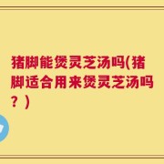 猪脚能煲灵芝汤吗(猪脚适合用来煲灵芝汤吗？)