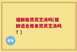 猪脚能煲灵芝汤吗(猪脚适合用来煲灵芝汤吗？)