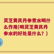 灵芝黄芪丹参煮水喝什么作用(喝灵芝黄芪丹参水的好处是什么？)