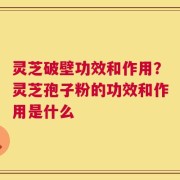 灵芝破壁功效和作用？灵芝孢子粉的功效和作用是什么