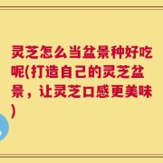 灵芝怎么当盆景种好吃呢(打造自己的灵芝盆景，让灵芝口感更美味)