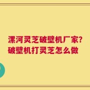 漯河灵芝破壁机厂家？破壁机打灵芝怎么做