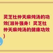 灵芝杜仲天麻炖汤的功效(滋补强身！灵芝杜仲天麻炖汤的健康功效)