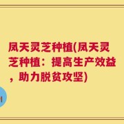 凤天灵芝种植(凤天灵芝种植：提高生产效益，助力脱贫攻坚)