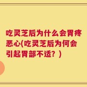 吃灵芝后为什么会胃疼恶心(吃灵芝后为何会引起胃部不适？)