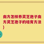 南方怎样养灵芝孢子南方灵芝孢子的培育方法)