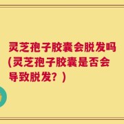 灵芝孢子胶囊会脱发吗(灵芝孢子胶囊是否会导致脱发？)