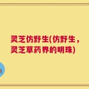 灵芝仿野生(仿野生，灵芝草药界的明珠)