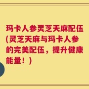 玛卡人参灵芝天麻配伍(灵芝天麻与玛卡人参的完美配伍，提升健康能量！)