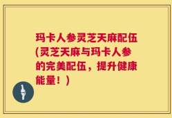 玛卡人参灵芝天麻配伍(灵芝天麻与玛卡人参的完美配伍，提升健康能量！)