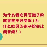为什么我吃灵芝孢子粉就胃疼不好受呢 (为什么吃灵芝孢子粉会让我胃疼？)