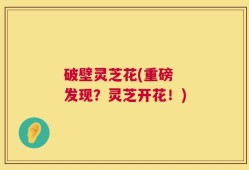破壁灵芝花(重磅  发现？灵芝开花！)