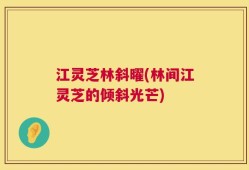 江灵芝林斜曜(林间江灵芝的倾斜光芒)