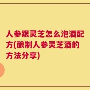 人参跟灵芝怎么泡酒配方(酿制人参灵芝酒的方法分享)