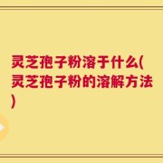灵芝孢子粉溶于什么(灵芝孢子粉的溶解方法)