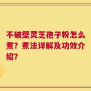 不破壁灵芝孢子粉怎么煮？煮法详解及功效介绍？