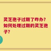 灵芝孢子过期了咋办？如何处理过期的灵芝孢子？