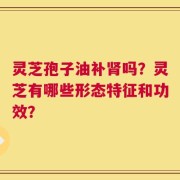 灵芝孢子油补肾吗？灵芝有哪些形态特征和功效？