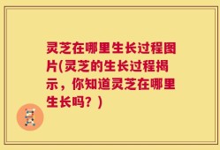 灵芝在哪里生长过程图片(灵芝的生长过程揭示，你知道灵芝在哪里生长吗？)