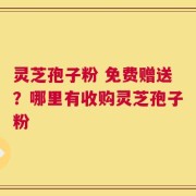 灵芝孢子粉 免费赠送？哪里有收购灵芝孢子粉