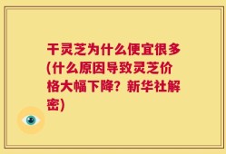 干灵芝为什么便宜很多(什么原因导致灵芝价格大幅下降？新华社解密)