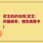 灵芝的药功效(灵芝：药膳调养、慢性病帮手)
