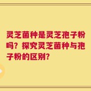 灵芝菌种是灵芝孢子粉吗？探究灵芝菌种与孢子粉的区别？